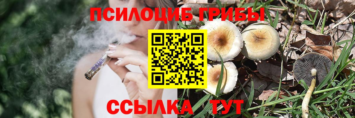 Галлюциногенные грибы мицелий Новодвинск