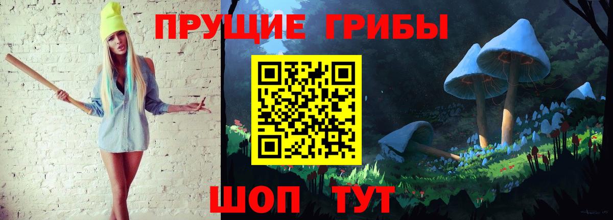 Галлюциногенные грибы Psilocybine cubensis  Вход с VPN  наркотики  Галлюциногенные грибы мицелий  Новодвинск 
